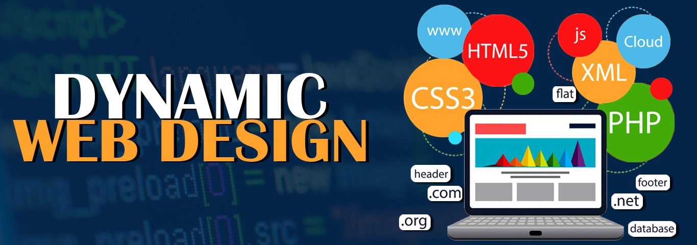 best web designing company in west delhi